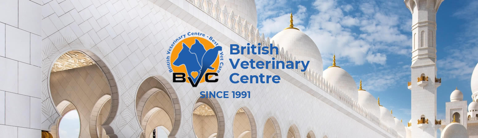 British Veterinary Centre